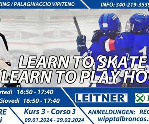 learn-to-skate